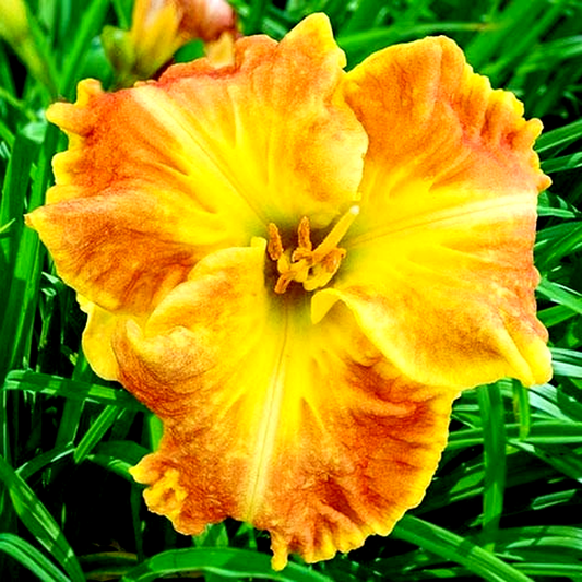 Beyond Riches