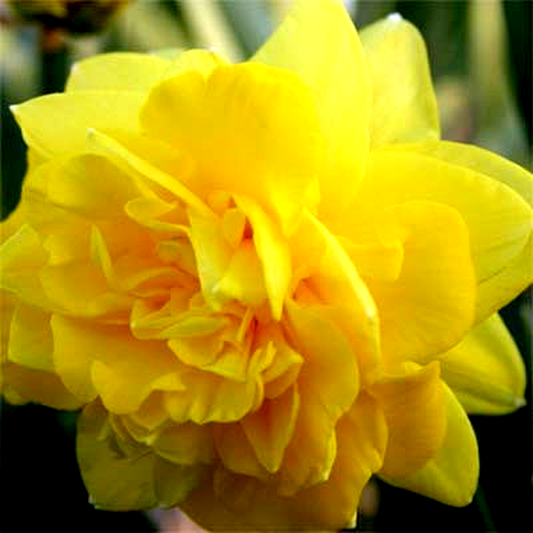 Eastertide